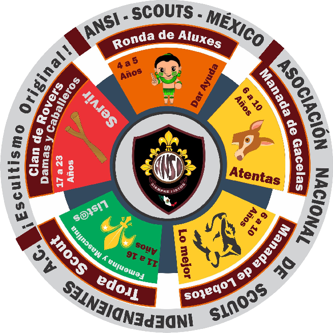 ANSI Scouts México